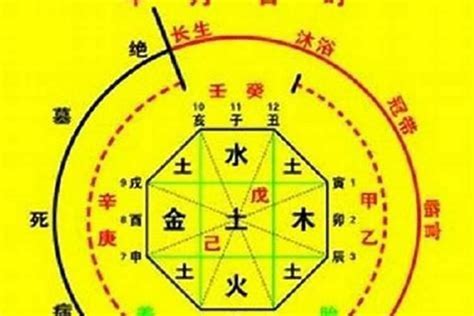 五行喜木火|怎么看自己的八字属性？